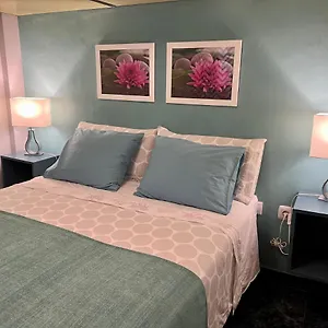  Apartamento Estudios Dalia España
